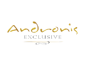 androni exclusive logo